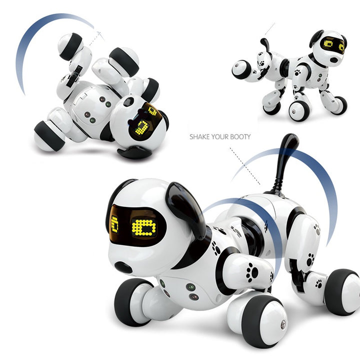 RoverBot Canine Companions