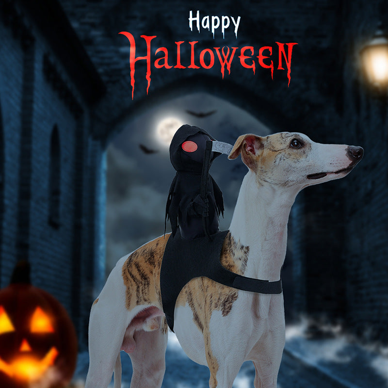 Dog Dark Harvesting Knight Transforms into Pet Costume for Halloween