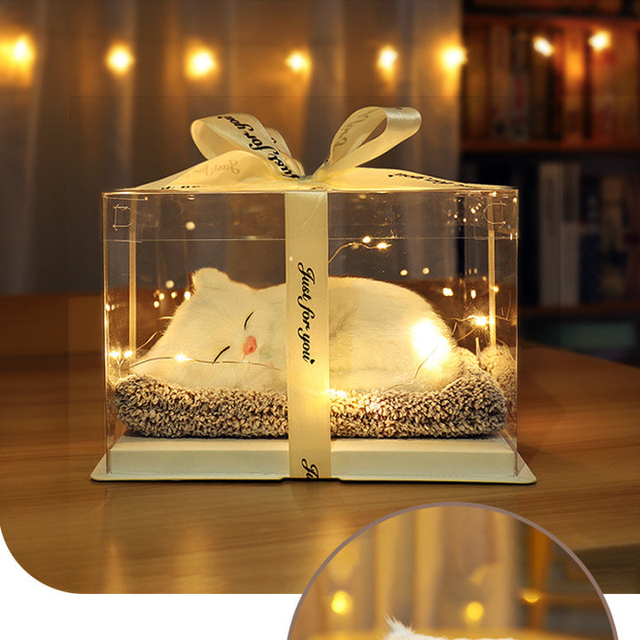 FelineCharmer Gift Cat