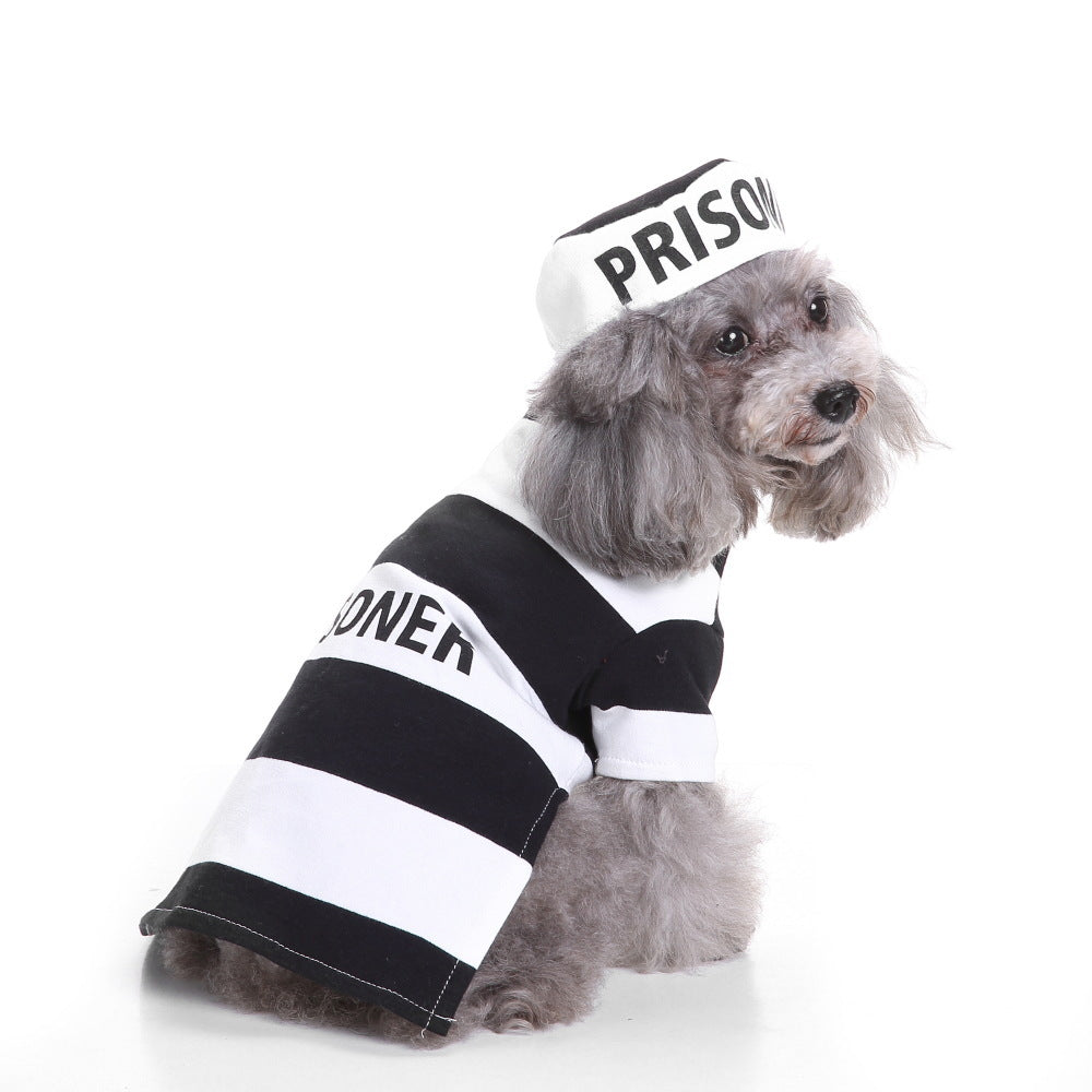 Dog Halloween costume with funny costumes