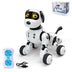 RoverBot Canine Companions