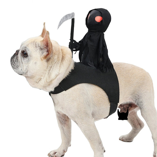 Dog Dark Harvesting Knight Transforms into Pet Costume for Halloween